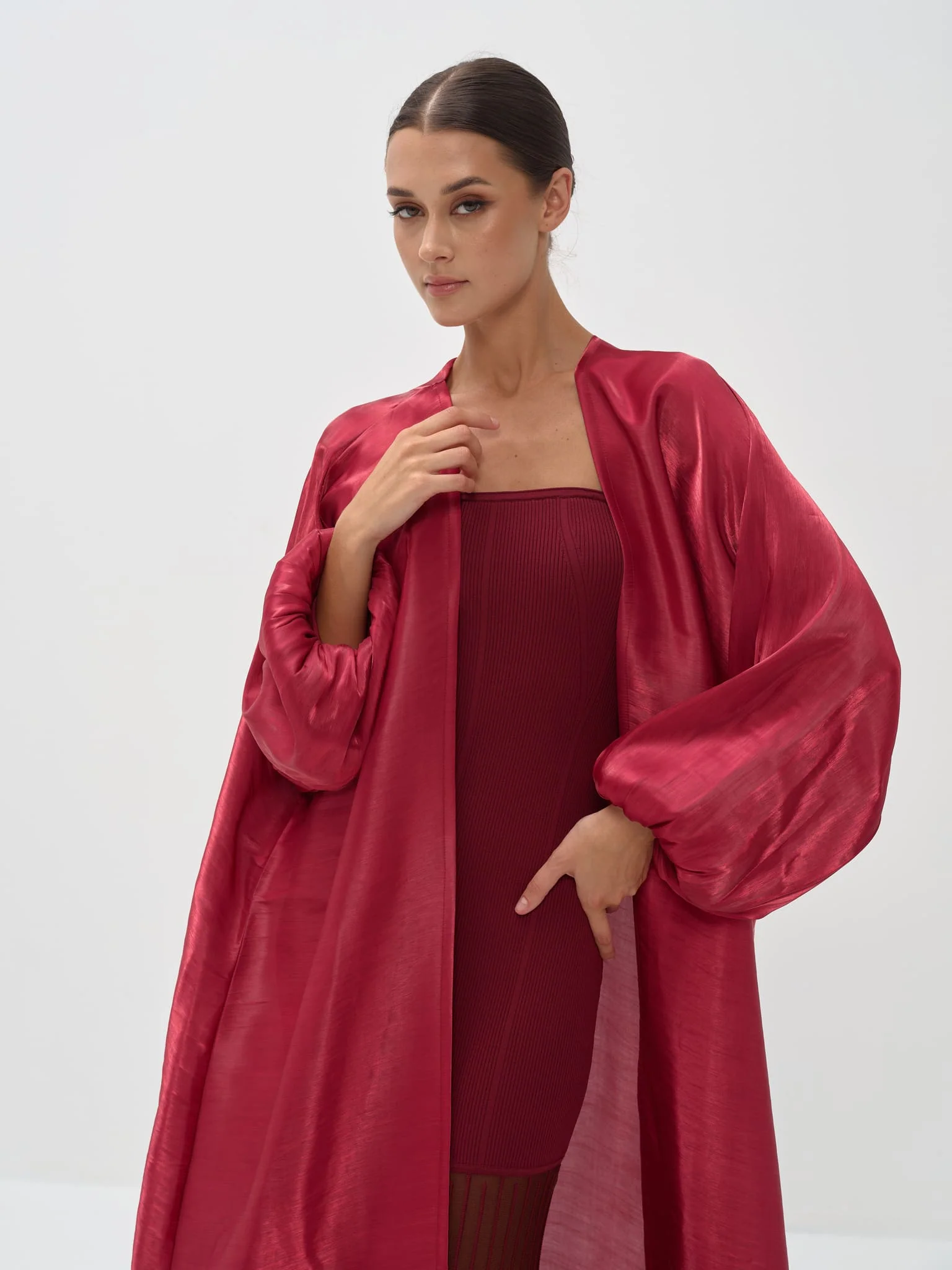 Aerin Abaya in Organza - Image 10